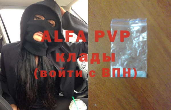 Альфа ПВП Коряжма