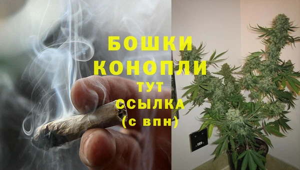 прущий лед Костерёво