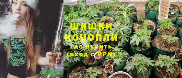 прущий лед Костерёво