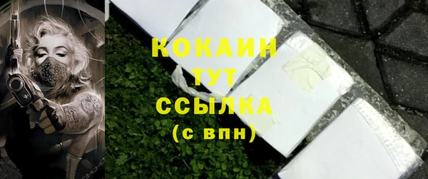 прущий лед Костерёво