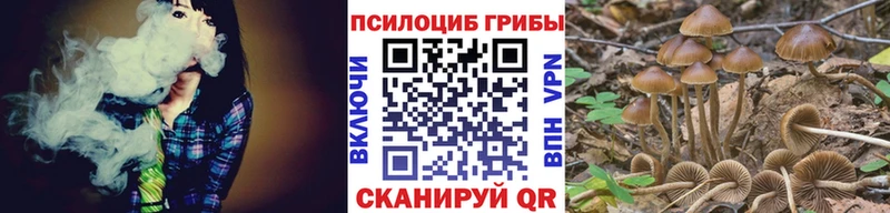 Галлюциногенные грибы мухоморы  Чайковский 
